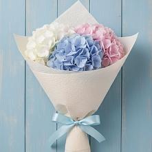 Букет цветов из:  Гортензия в Евсеево