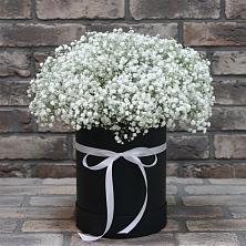 Цветочная композиция из Гипсофила в шляпной коробке в Евсеево