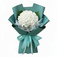 Букет цветов из:  Гортензия в Евсеево